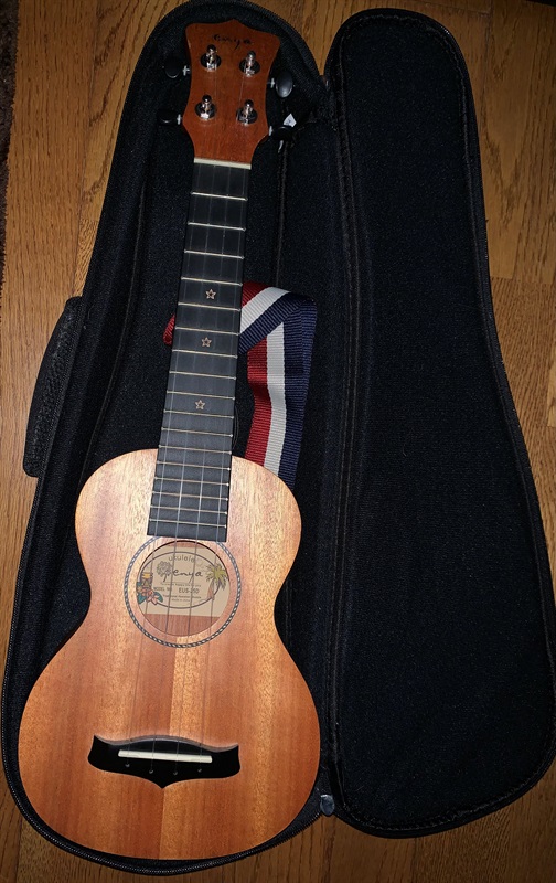 ENYA Guitars EUS-25D ウクレレ初心者セットの画像